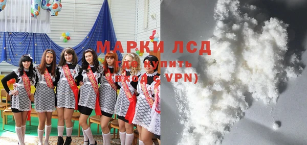 СК Инсар