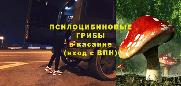 СК Инсар