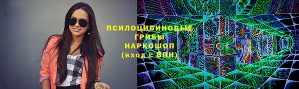 СК Инсар