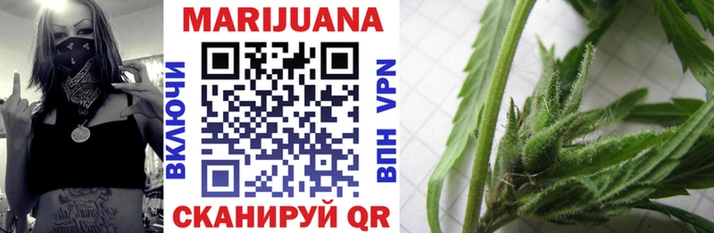 Бошки Шишки планчик Глазов